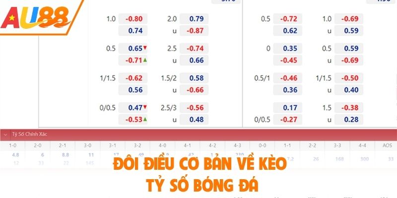 Đôi điều cơ bản về kèo tỷ số bóng đá